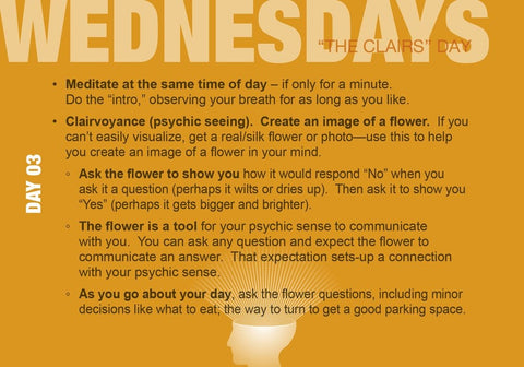 Build Your Psychic Skills: The 90-Day Plan Cards Deck Schiffer Publishing NEW
