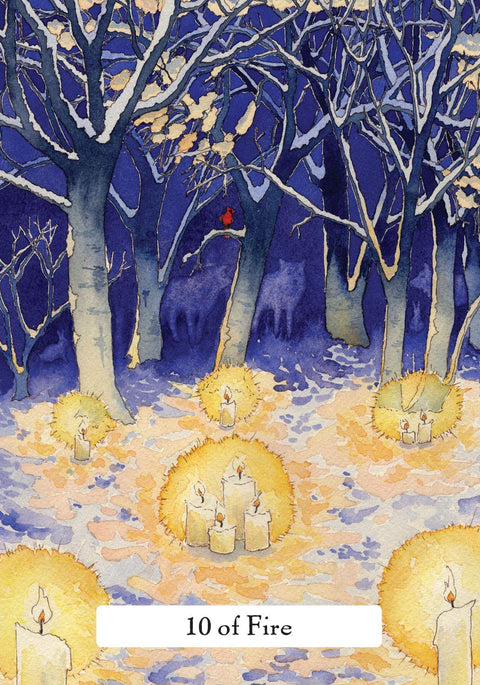 The Witches' Wisdom Tarot Card Deck & Guidebook by Phyllis Curott