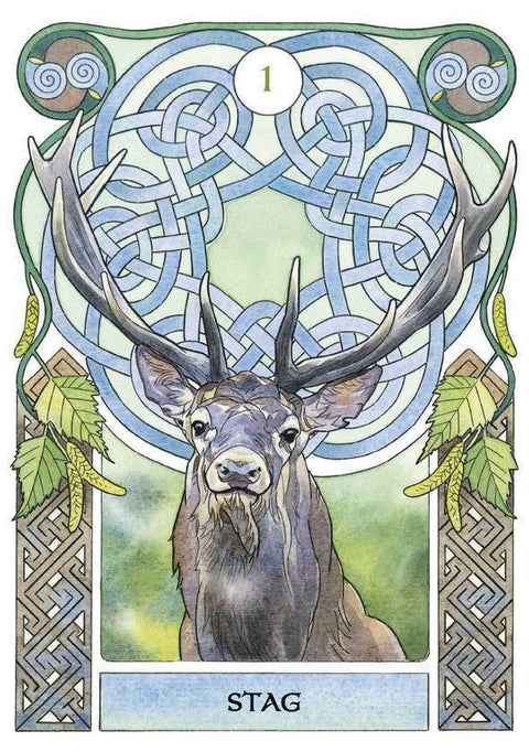 Celtic Astrology Oracle Cards & Guidebook Deck Lo Scarabeo Antonella Castelli