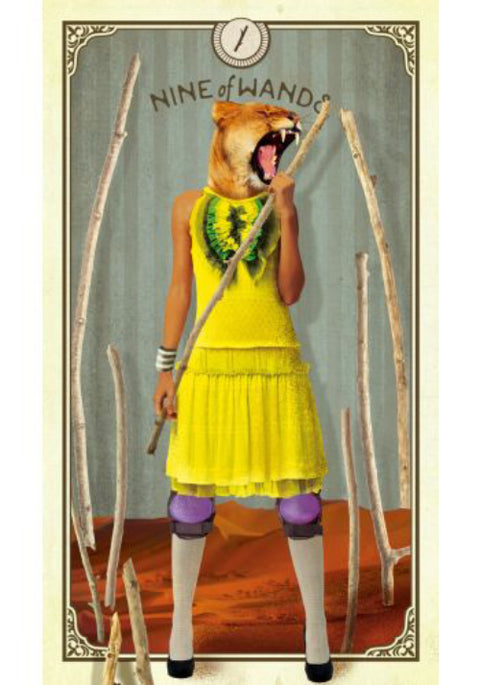 The Tarot Of Curious Creatures Card Deck & Guidebook Chris-Anne