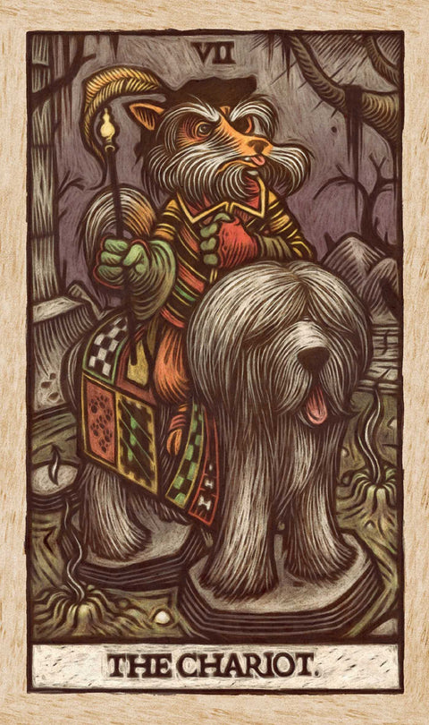 Labyrinth Tarot – Mystical Journey Tarot Cards Deck &  Guidebook