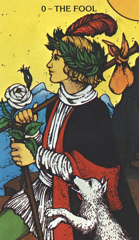 Morgan Greer Tarot Deck 78 Cards by US Games with Guidebook New