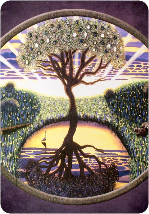 Earth Magic Oracle Cards Deck And Guidebook  By Steven D. Farmer