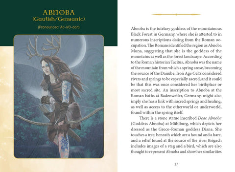 Celtic Goddesses, Witches And Queens Oracle Cards Deck Schiffer Publishing Sp168