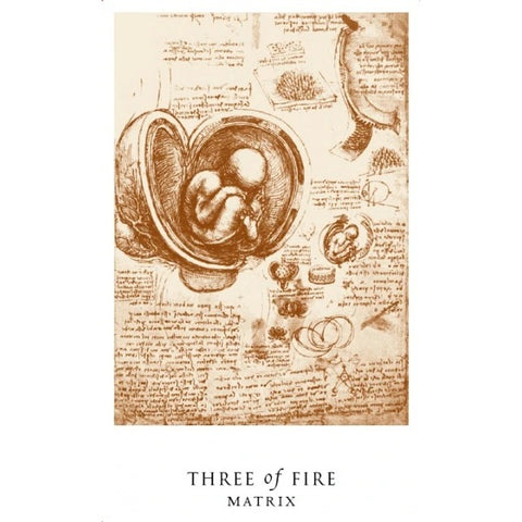 The Da Vinci Enigma Tarot Deck & Guidebook Set by Matthews Schiffer