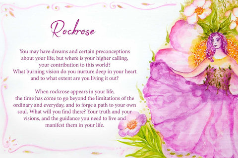 Essential Oils Oracle Card Deck by Earth Dancer – Plant Spirit Healing