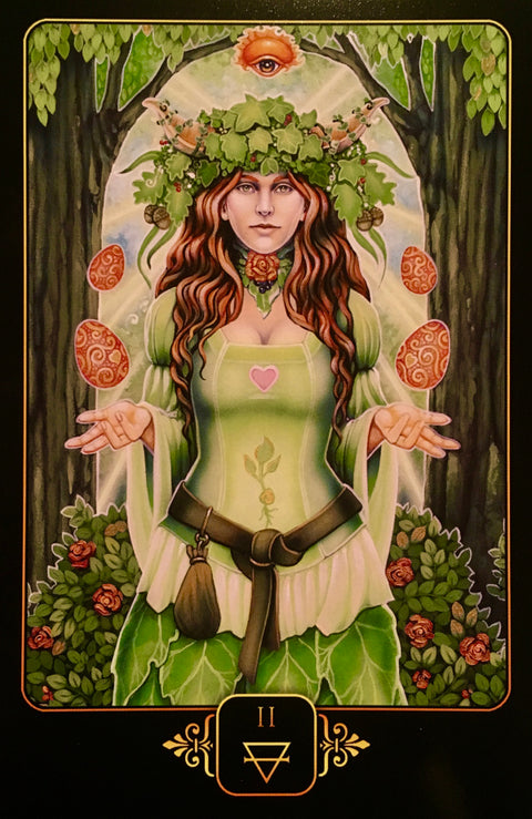 Dreams of Gaia Tarot Deck 78 Cards with Guidebook by Blue Angel