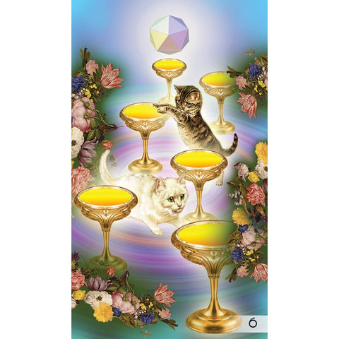 Unifying Consciousness Tarot Deck 79 Cards & Guidebook by Schiffer