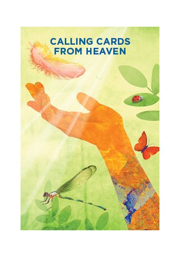 The Mediumship Training Cards Deck Holland & Rainbow Developing Hay House NEW