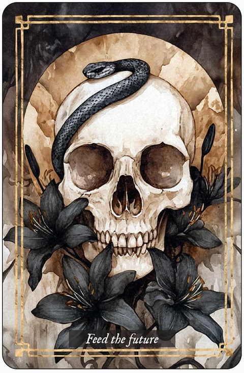 Memento Mori Oracle Deck 36 Daily Affirmation Cards by Red Wheel