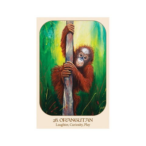 Animal Voices Oracle Cards Deck with Guidebook by Blue Angel