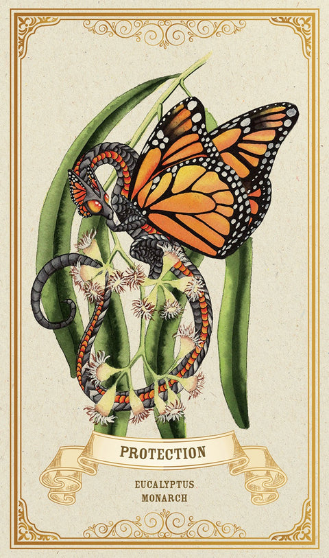Enchanted Blossoms Oracle Deck by Carla Morrow 44 Cards Blue Angel
