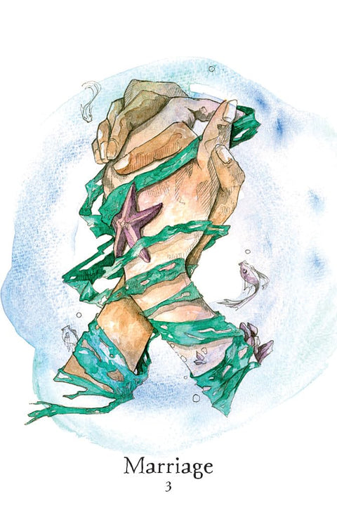 Seaborn Kipper Divination Cards Deck Esoteric Llewellyn By Thomas Witholt Lw104