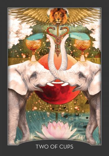 Guardian of the Night Tarot Deck & Signed Guidebook – Animal Spirit Cards