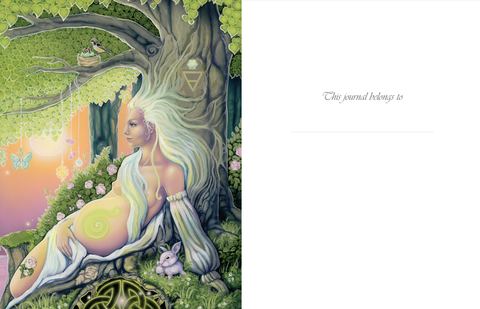 Divinity Writing & Creativity Journal Notebook Lined R. Phelan Blue Angel