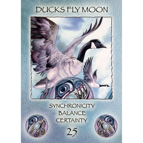 Spirit of the Wheel Meditation Oracle Deck by US Games, 40 Cards