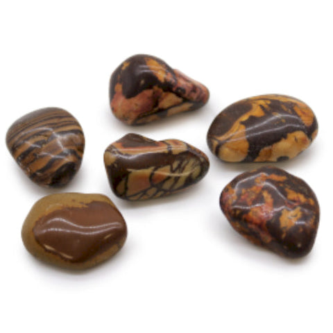 6x Large African Jasper Nguni Tumble Stones 30-50mm Healing Crystals