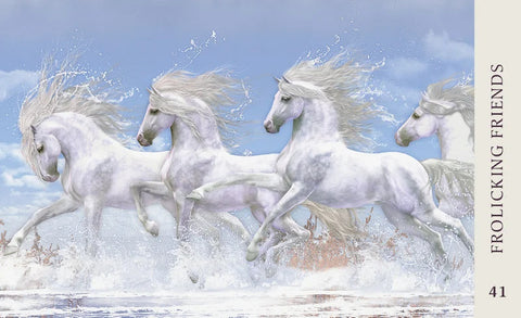 Horse Wisdom Oracle Cards 44-Card Deck & Guidebook by Kathy Pike Blue Angel