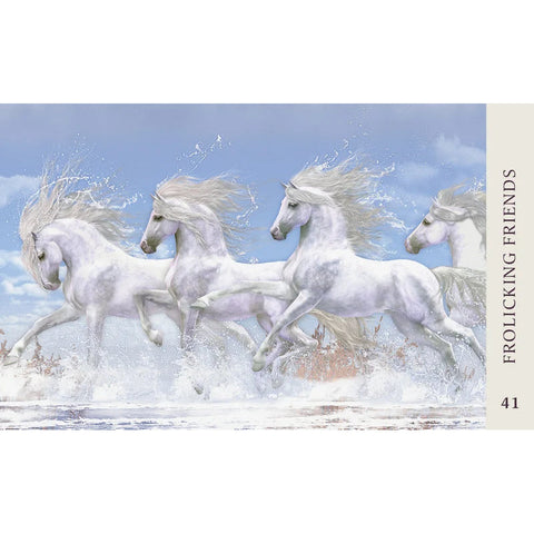 Horse Wisdom Oracle Cards 44-Card Deck & Guidebook by Kathy Pike Blue Angel