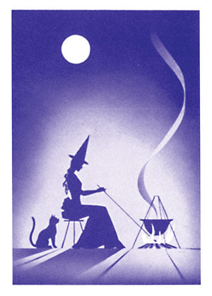 Gypsy Witch Fortune Telling Playing Cards Deck by US Games Systems