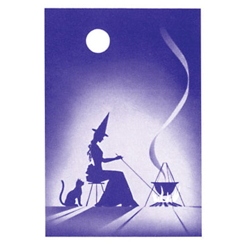 Gypsy Witch Fortune Telling Playing Cards Deck by US Games Systems