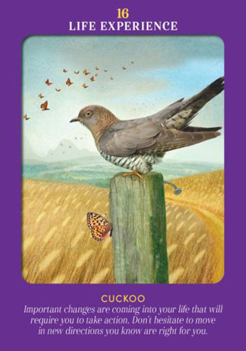 Animal Guides Tarot Cards Deck Radleigh Valentine Divination