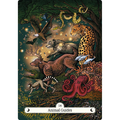 The Witch's Way Home Oracle Card Deck & Guidebook by Hay House