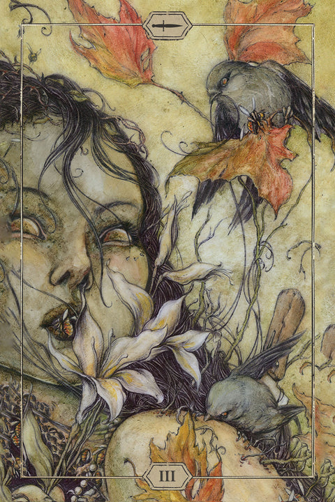 Hush Tarot Deck by Jeremy Hush 78 Cards & Guidebook US Games Systems