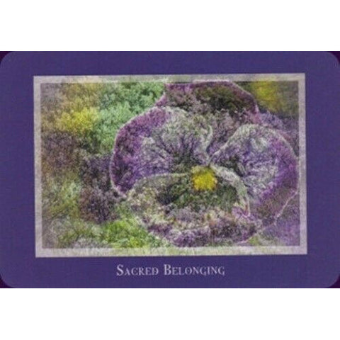 Gaia's Vision Oracle Deck 40 Cards with Guidebook Nature Photography Oracle