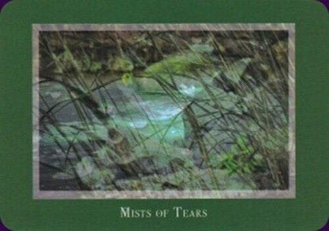 Gaia'S Vision Oracle Cards Deck Original Schiffer Publishing By Susan Starr NEW