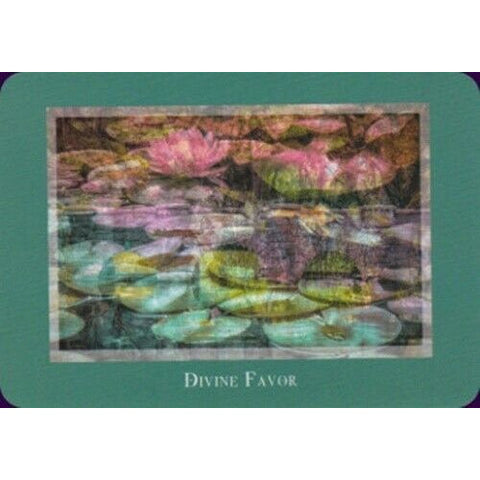 Gaia's Vision Oracle Deck 40 Cards with Guidebook Nature Photography Oracle