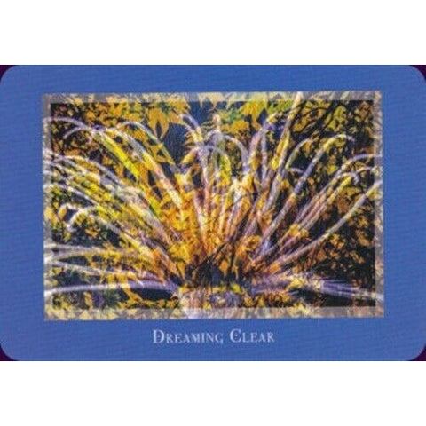 Gaia's Vision Oracle Deck 40 Cards with Guidebook Nature Photography Oracle