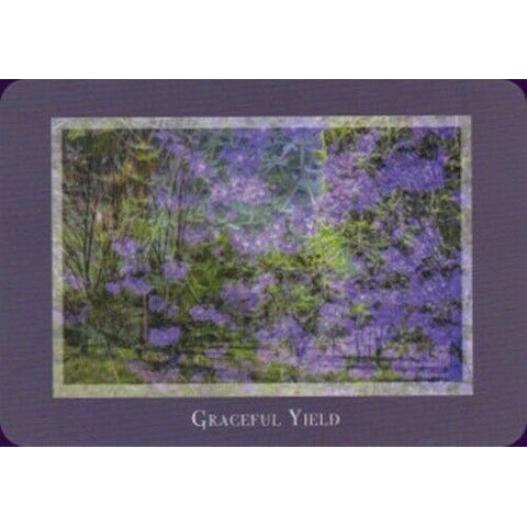 Gaia's Vision Oracle Deck 40 Cards with Guidebook Nature Photography Oracle