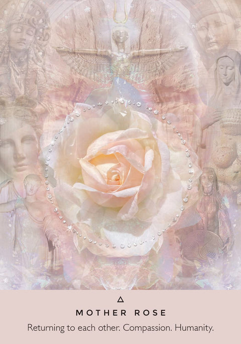 Rose Oracle Cards Deck And Guidebook Hay House By Rebecca Campbell Goddess NEW