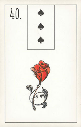Maybe Lenormand Oracle Deck by Ryan Edward 52 Cards US Games Divination