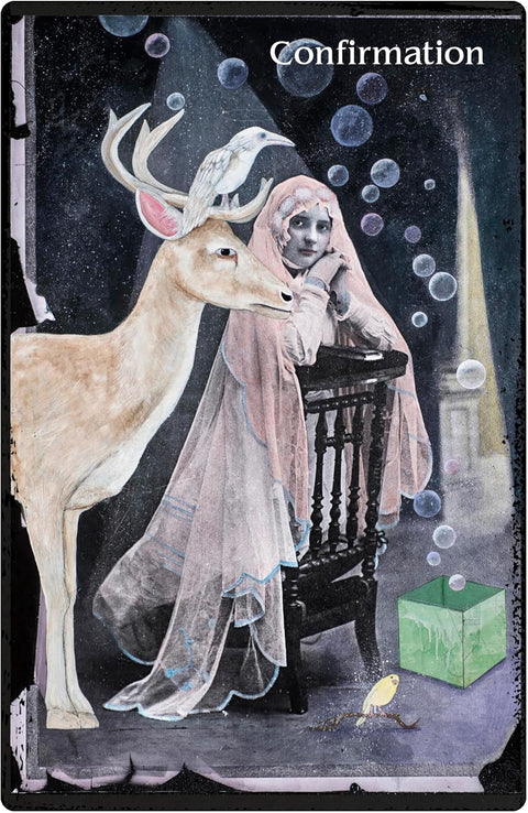 Oracle of Rewilding Animal Archetype Divination Cards Deck & Guide