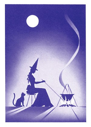 Gypsy Witch Fortune Telling Playing Cards Deck by US Games Systems