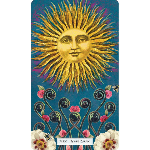 Tarot of the Cosmic Seed Deck 79 Cards & Guidebook by Weiser Books