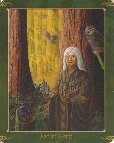 Green World Oracle Deck Cards Esoteric Kathleen Jenks Schiffer Publishing Sp090