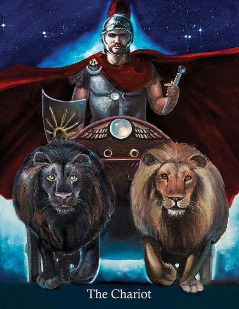 Ancestral Path Tarot Deck 78 Cards & Guidebook US Games Systems
