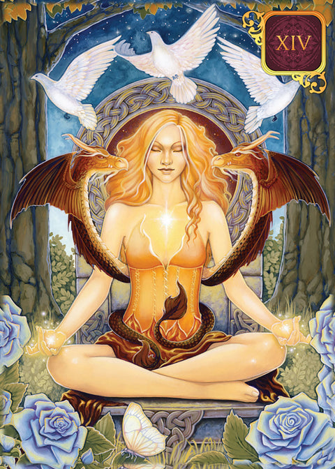 Pocket Dreams of Gaia Tarot Deck 81 Cards by Ravynne Phelan Blue Angel