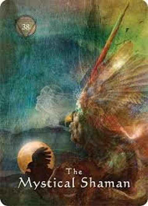 Mystical Shaman Oracle Divination Cards Deck By Hay House