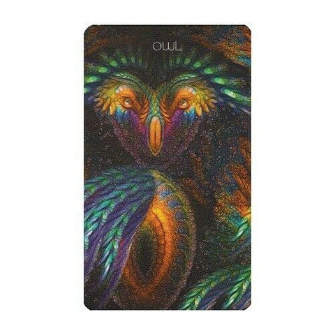 Healing Light And Angel Cards Deck & Book Set Schiffer Publishing Saleire NEW