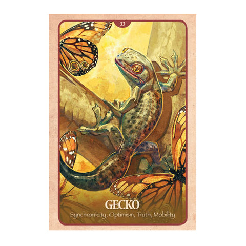 The Secret Language Of Animals Oracle Deck Cards Telling Blue Angel NEW