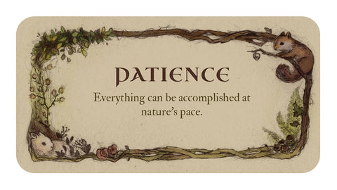 Whispering Woods Inspirational Deck Cards Esoteric US Games Systems