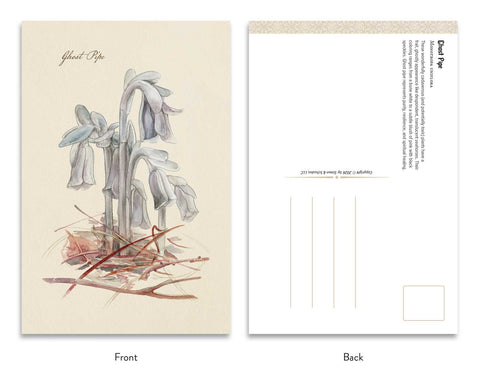 the Goth Garden Dark Blooms Postcards set Adams Media