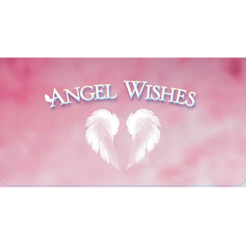 Angel Wishes Oracle Affirmation Cards Deck Debbie Malone US Games