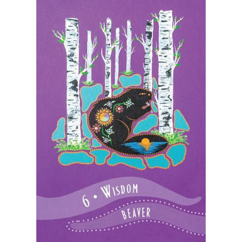 Wisdom Of The Elders Oracle Cards Deck And Guidebook By Shawn Leonard