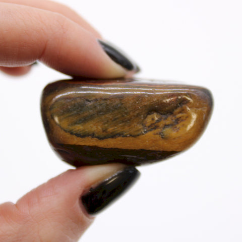 Large African Tumble Stones (6X) - Tigers Eye Ancient Wisdom NEW