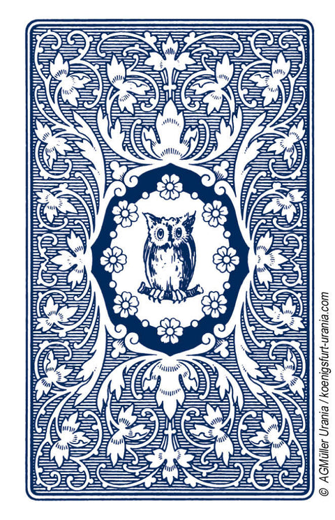 Blue Owl By Mlle Lenormand 36 Cards Deck Esoteric Fortune Telling Agm 1067012979